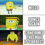 spongebob fight | HELLO; I ONCE AGAIN; CONFIRMED THE EMAIL IS CORRECT | image tagged in spongebob fight | made w/ Imgflip meme maker