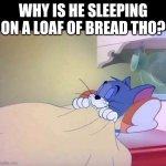 Tom sleeping | WHY IS HE SLEEPING ON A LOAF OF BREAD THO? | image tagged in tom sleeping | made w/ Imgflip meme maker