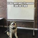 If this post gets 20 upvotes I will do a QnA | if this post gets 20 upvotes






I will do a QnA | image tagged in whiteboard husky,memes | made w/ Imgflip meme maker