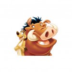 Timon & Pumbaa