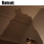 I'm Vengeance! | Criminal: "Who...are you?"; Batcat:; I'M VENGEANCE! | image tagged in i'm vengeance,batman,the dark knight,cat,cats,memes | made w/ Imgflip meme maker