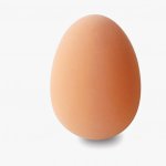 egg