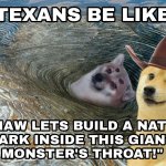 Texans be like