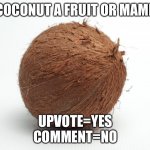 True or false | IS A COCONUT A FRUIT OR MAMMAL? UPVOTE=YES

COMMENT=NO | image tagged in coconut | made w/ Imgflip meme maker