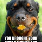 Insert Funni Title Here | POV:; YOU BROUGHT YOUR MOM A FLOWER AND SHE SAYS SHE LOVES IT | image tagged in most funniest rottweiler in the world | made w/ Imgflip meme maker