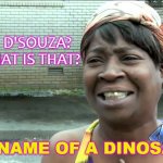 Dinesh D'Souza? OMG WHAT IS THAT? | DINESH D'SOUZA?
OMG WHAT IS THAT? THE NAME OF A DINOSAUR? | image tagged in ain't nobody got time for that | made w/ Imgflip meme maker