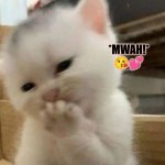tee hee kitten | *MWAH!*
😘💕 | image tagged in tee hee kitten,omg kitten,kitten blowing kisses,thinking kitten,mwah kitten | made w/ Imgflip meme maker
