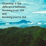 Grammar is the difference meme