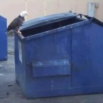 Eagle dumpster meme