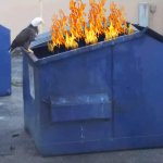 Eagle dumpster fire