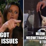 Angry lady cat | U GOT SOME ISSUES MEOW MEW MEOW(TRANSLATION:THX U TOO] | image tagged in angry lady cat | made w/ Imgflip meme maker