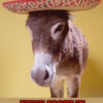 Think about it it'll come to ya | IT'LL COME TO YA; THINK ABOUT IT' | image tagged in donkey,funny,cute,insult,ass,hat | made w/ Imgflip meme maker