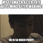 Based on true events | MY STOMACH AFTER I ATE CAKE 15 MINS AFTER WAKING UP | image tagged in im in so much pain,food,pain | made w/ Imgflip meme maker