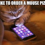 Cat with mobile phone | I LIKE TO ORDER A MOUSE PIZZA | image tagged in cat with mobile phone | made w/ Imgflip meme maker