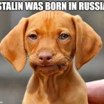 Stalin | "STALIN WAS BORN IN RUSSIA" | image tagged in famous smirking dog,joseph stalin | made w/ Imgflip meme maker