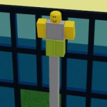 figure 1 on the pole