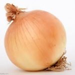 Let's see how popular an onion can get | image tagged in onion | made w/ Imgflip meme maker