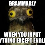 Weird Stuff I Do Potoo Meme | GRAMMARLY WHEN YOU INPUT ANYTHING EXCEPT ENGLISH | image tagged in memes,weird stuff i do potoo | made w/ Imgflip meme maker