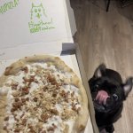 Pug with Pizza