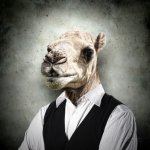 camel businessman