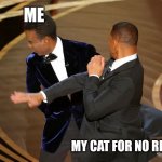 Will Smith punching Chris Rock | ME; MY CAT FOR NO REASON | image tagged in will smith punching chris rock | made w/ Imgflip meme maker