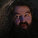 Wizard Harry GIF Template