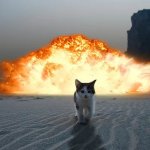 T. Ellery Hodges Action Cat Walks Away From Explosion meme