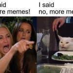 No more memes! | You said 
no more memes! I said
no, more memes. | image tagged in memes,woman yelling at cat | made w/ Imgflip meme maker