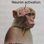 neuron activation template