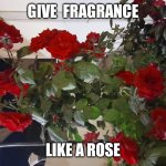 Good morning | GIVE  FRAGRANCE; LIKE A ROSE | image tagged in good morning | made w/ Imgflip meme maker