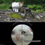 Sniper cat | KARENS; THE MANAGER | image tagged in sniper cat | made w/ Imgflip meme maker