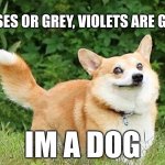 yeeeaaa... | ROSES OR GREY, VIOLETS ARE GREY; IM A DOG | image tagged in ok boomer corgi | made w/ Imgflip meme maker