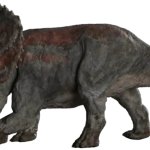 Male Nasutoceratops