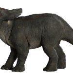 Baby Nasutoceratops