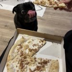 Pug with Pizza 1.2