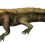 Sarcosuchus (JWA Design)