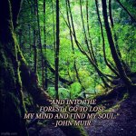 Poetry | “AND INTO THE FOREST I GO TO LOSE MY MIND AND FIND MY SOUL.” 
- JOHN MUIR | image tagged in poetry | made w/ Imgflip meme maker