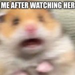 Screaming Hampster | 5 YEAR OLD ME AFTER WATCHING HEROBRINE VID | image tagged in screaming hampster | made w/ Imgflip meme maker