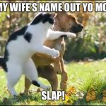 Get my wife’s name out yo mouth! | GET MY WIFE’S NAME OUT YO MOUTH! SLAP! | image tagged in cat slap dog,will smith punching chris rock | made w/ Imgflip meme maker