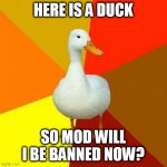 Tech Impaired Duck | HERE IS A DUCK SO MOD WILL I BE BANNED NOW? | image tagged in memes,tech impaired duck | made w/ Imgflip meme maker