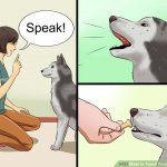 Tech your dog to speak