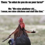 Gladiator Chicken | Them: "So what do you do on your farm?"; Me: "We raise gladiator chi..... 
I mean, we raise chickens and stuff like that." | image tagged in gladiator rooster | made w/ Imgflip meme maker
