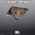 Ceiling Cat Meme | TEACHER: POP QUIZ ME: | image tagged in memes,ceiling cat,fun,cat memes | made w/ Imgflip meme maker