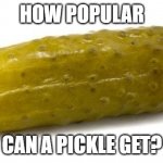 Confidence 0 | HOW POPULAR; CAN A PICKLE GET? | image tagged in memes | made w/ Imgflip meme maker