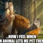 Master of the Animals | ...HOW I FEEL WHEN AN ANIMAL LETS ME PET THEM | image tagged in beastmaster,pets,animals,dogs,cats,memes | made w/ Imgflip meme maker