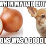 In loving memory of Onions | I CRIED WHEN MY DAD CUT ONIONS, ONIONS WAS A GOOD DOG | image tagged in in loving memory of onions | made w/ Imgflip meme maker