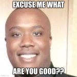 Excuse me what | EXCUSE ME WHAT; ARE YOU GOOD?? | image tagged in excuse me what | made w/ Imgflip meme maker