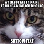 when you are thinking of a meme for 8 hours | WHEN YOU ARE THINKING TO MAKE A MEME FOR 8 HOURS; BOTTOM TEXT | image tagged in a cute cat in disappoint | made w/ Imgflip meme maker