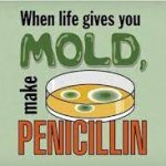 Penicillin