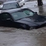 Flooded Mustang